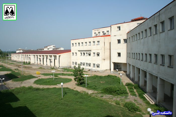 تصویر کوچک