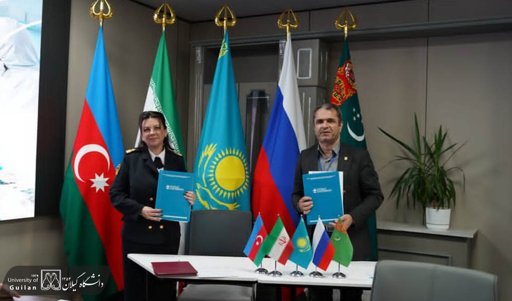 Набросок