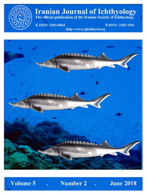 صورة مصغّرة